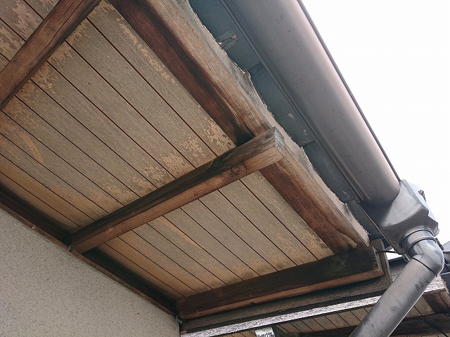 雨樋が設置されている軒先